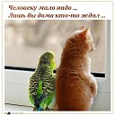 ���� �����, ���� - ��������� 3 ��� 2014 � ������ ������ ��������