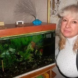 ���� �������, ������, 68 ��� - ��������� 3 ���� 2014