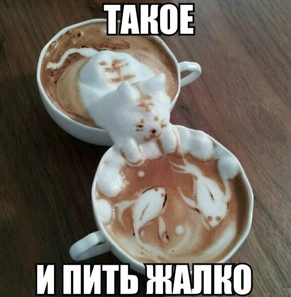  - 14  2014  11:46
