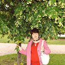 ������2014 �� ������� ���� ����������