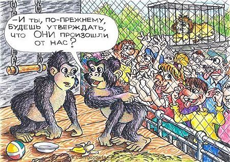 �������������� �� ���� �������� fotostrana.ru/public/232473 ������ ������� )