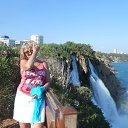  ,  , 55  -  29  2014     2014