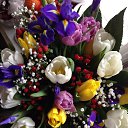 ���� Ninell, ������ - ��������� 22 ������� 2014 � ������ ���� ����������