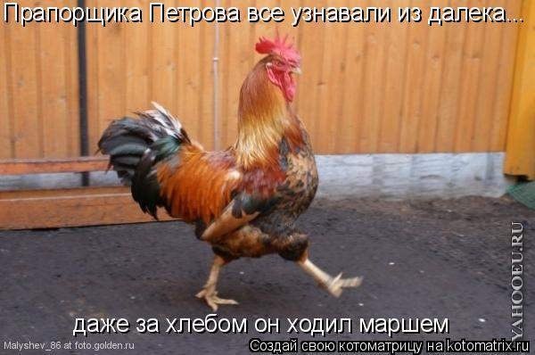   - 31  2014  20:50