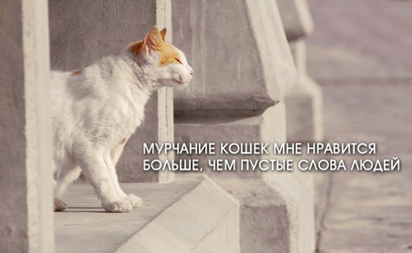    - 18  2014  11:10