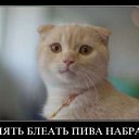 ���� ������, ���������, 42 ���� - ��������� 11 ������ 2014 � ������ �����������