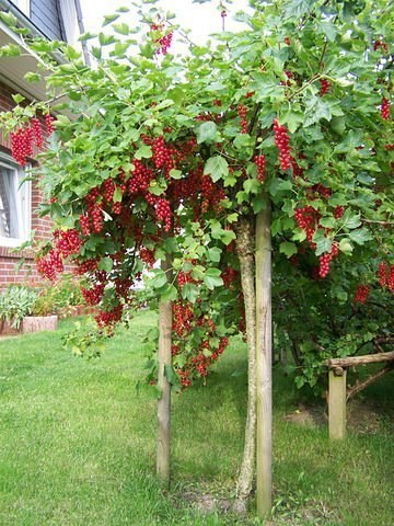  .  ,       ,      ...