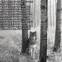 ���� ����, ������ ��������, 64 ���� - ��������� 2 ��� 2014 � ������ ������ ��������