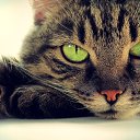 ���� �������, ��������, 64 ���� - ��������� 25 ����� 2014 � ������ ���� ����������