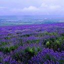  ,  -  1  2014    ))))))))))