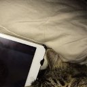 ���� ����, ������ - ��������� 10 ������ 2014 � ������ ���� ����������