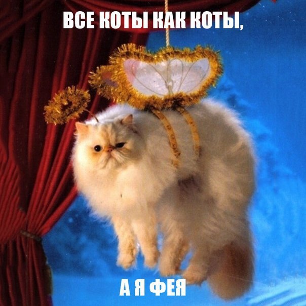 /zev/null - 16  2014  17:34