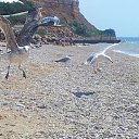  ,  -  21  2014    ))))))))))