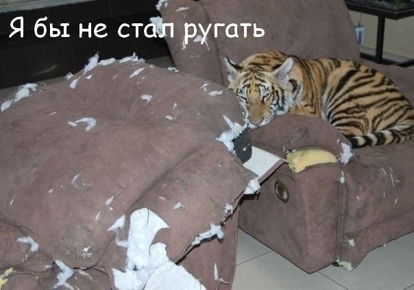  ( ) - 2  2014  03:30
