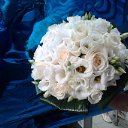 ���� ������, ���������, 45 ��� - ��������� 30 ��� 2014 � ������ ���� �������