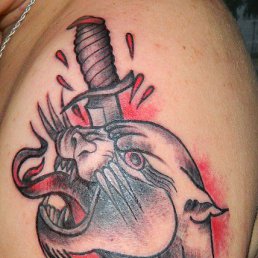 ������, �����-���������, 46 ���