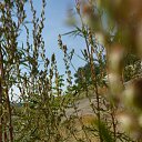 ���� �����, ������� - ��������� 18 ������� 2014 � ������ �17.08.2014�.�