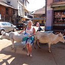 ��������� ������(��� �� �� �����������...). �� ������� ��������� ���,������� 2013 �.�