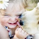  Evgenia,  -  11  2014    