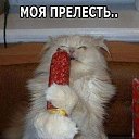 ���� ��������, ����������, 40 ��� - ��������� 12 ���� 2014 � ������ ������ ��������