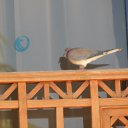 ���� �����, ������, 26 ��� - ��������� 17 ���� 2014 � ������ ������ :3�