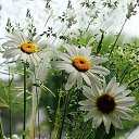 ����� ������� �������� � ����! ��� � ��� ��� ������ � ������ ���: ������� ������� ����������� ������, ��������� ��������� ������� ��������. �� ������� ����������