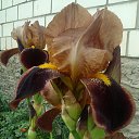 ���� �������, ������, 58 ��� - ��������� 17 ��� 2014 � ������ ��������