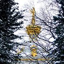 ������� �� ������� �������������