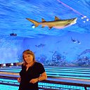 ���� Elena, ������, 64 ���� - ��������� 1 ������� 2014 � ������ ���� ����������