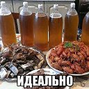 ���� ������, ���������, 52 ���� - ��������� 13 ���� 2014 � ������ ������ ��������