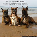 ���� ���������, ������, 53 ���� - ��������� 17 ������� 2014 � ������ ������ ��������