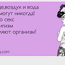 ���� ����, ������, 41 ��� - ��������� 1 ��� 2014 � ������ ������ ��������