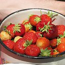 ���� �����, �����-���������, 52 ���� - ��������� 11 ������ 2014 � ������ ���� ����������