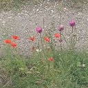 ���� ����, ������ - ��������� 8 ���� 2014 � ������ �����