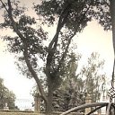 ���� ��������, �������, 29 ��� - ��������� 23 ���� 2014 � ������ ���� ����������