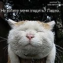 ���� �������, ������, 44 ���� - ��������� 23 ����� 2014 � ������ ���� ����� � �������������� ������-������