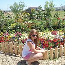 ���� �����, �����, 24 ���� - ��������� 31 ���� 2014