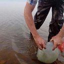 ���� �������, ������-������������, 51 ��� - ��������� 31 ���� 2014 � ������ ���� ����������