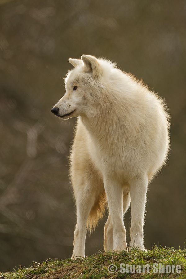 � ���� �������� - 6 ���� 2014 � 10:15 - 4