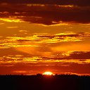 ���� ����������, ������� ��������, 63 ���� - ��������� 7 ���� 2014 � ������ �������