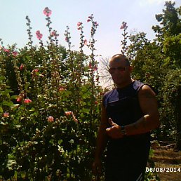 ���� ...����..., �������, 52 ���� - ��������� 6 ������� 2014