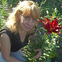 ���� ��������, ������ - ��������� 18 ����� 2014 � ������ ���� ����������