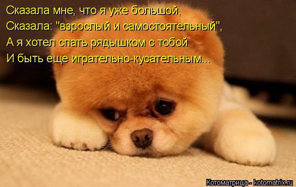  - 3  2014  19:56