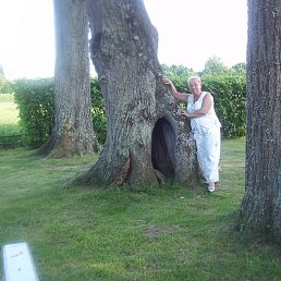 ���� �������, ����� - ��������� 30 ��� 2014