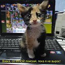 ���� ������, ����, 64 ���� - ��������� 29 ������ 2014 � ������ ������ ��������