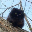 ���� �����, ���������, 58 ��� - ��������� 24 ��� 2014 � ������ ������� �