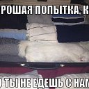  ,  -  13  2014    