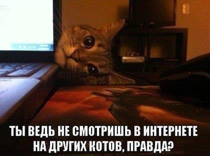  )