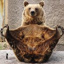 ���� ������, ������, 48 ��� - ��������� 18 ������ 2014 � ������ ���� ����������