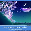 ���� �����, ��������, 50 ��� - ��������� 29 ���� 2014 � ������ ������ ��������